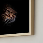 "Siri The Leopard" - Art Print in Color by David Michuki - Frame Close-up