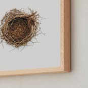"The Architect" - Art Print in Nestlé by Andrew McClintock - Frame Close-up