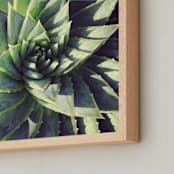 "spiral" - Art Print in agave green by Paper Monkey Press - Frame Close-up