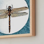 "Dragonfly Study I" - Art Print in Turquoise Blue by Stephanie Toral - Frame Close-up