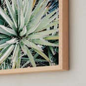 "Desert Fauna" - Art Print in Desert Sage by Anna Western - Frame Close-up