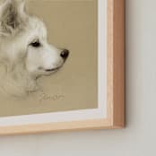 "Dust Bunny" - Art Print in Perfect White by Tracy Ann - Frame Close-up