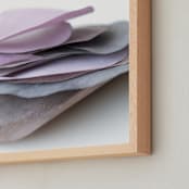 "Paper Petal 26" - Art Print in floral petals by Jenny Phillips - Frame Close-up