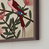 "Bee Eater" - Art Print in red by Jessie Burch - Frame Close-up