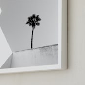 "Structured Palm" - Art Print in Black & White by Zani van Zyl - Frame Close-up