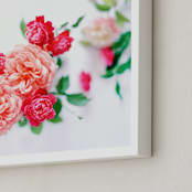 "Concert" - Art Print in Rosy Pink by Kristin Muntean - Frame Close-up