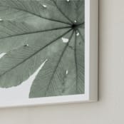 "Leaf In Green" - Art Print in Mint Green by Jonathan Brooks - Frame Close-up