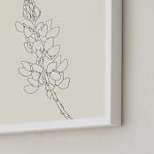 "Lupine" - Art Print in charcoal on ivory by Jorey Hurley - Frame Close-up