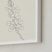 "Lupine" - Art Print in charcoal on ivory by Jorey Hurley - Frame Close-up