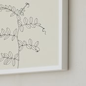 "Wild Pea" - Art Print in charcoal on ivory background by Jorey Hurley - Frame Close-up
