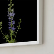 "stunning summer" - Art Print in purple by raven erebus - Frame Close-up