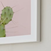 "Succulent No1" - Art Print in Color by Jessica C Nugent - Frame Close-up