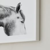 "Grey Horse" - Art Print in White by Jessica C Nugent - Frame Close-up