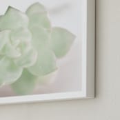 "Soft Succulent No. 2" - Art Print in Soft Sage by Andi Pahl - Frame Close-up