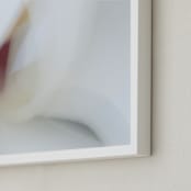 "modern magnolia" - Art Print in maroon by Sarah Luna - Frame Close-up