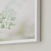 "Soft Succulent No. 1" - Art Print in Soft Sage by Andi Pahl - Frame Close-up