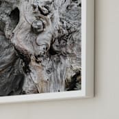 "Driftwood" - Art Print in Aged Gray by Jayna B - Frame Close-up
