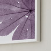 "Leaf in Lilac" - Art Print in Lilac by Jonathan Brooks - Frame Close-up