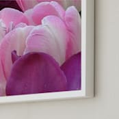 "Up Close" - Art Print in petal pink by Sea and Sky - Frame Close-up