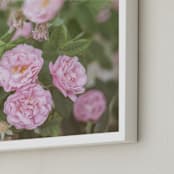 "Garden Flowers No. 2" - Art Print in Blossom Pink by Lynann Colligan - Frame Close-up
