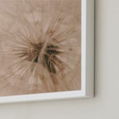 "Dandelion I" - Art Print in Soft Beige by Rasa Puzinaite - Frame Close-up