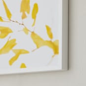 "Aspen Gold #4" - Art Print in Aspen Gold by Mike Sunu - Frame Close-up