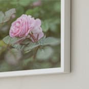"Garden Flowers No. 1" - Art Print in blossom pink by Lynann Colligan - Frame Close-up