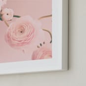 "Cotton Ranunculus" - Art Print in dusty pink by Caroline Mint - Frame Close-up