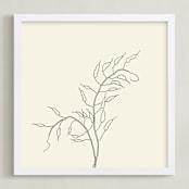 "Wild Radish" - Art Print in charcoal on ivory by Jorey Hurley - Framed