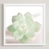 "Soft Succulent No. 2" - Art Print in Soft Sage by Andi Pahl - Framed