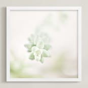 "Soft Succulent No. 1" - Art Print in Soft Sage by Andi Pahl - Framed