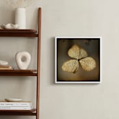 "Winter #3" - Art Print in Wheat Gold by Lynn Lehto - In a Room