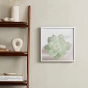 "Soft Succulent No. 2" - Art Print in Soft Sage by Andi Pahl - In a Room