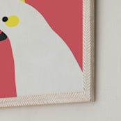 "Hello Cocky! " - Art Print in Coral by Catherine Culvenor - Frame Close-up