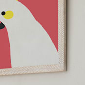"Hello Cocky! " - Art Print in Coral by Catherine Culvenor - Frame Close-up