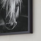 "Solitude Gaze" - Art Print in Shadow by Jamie Lollback - Frame Close-up