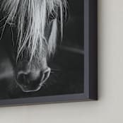 "Solitude Gaze" - Art Print in Shadow by Jamie Lollback - Frame Close-up