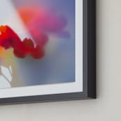 "Flora Prism" - Art Print in True Red by Aralyn Griesbach - Frame Close-up