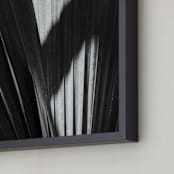 "Palmery 2" - Art Print in Black and White by Catherine Culvenor - Frame Close-up