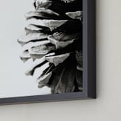 "Pine Cone" - Art Print in grey by Alexis Arnold - Frame Close-up