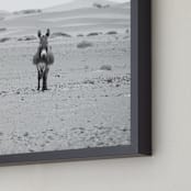 "I'm watching you" - Art Print in Black and White by Claudia Orengo - Frame Close-up