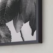 "Gather & Gaze" - Art Print in Matte Black by Alicia Youngken - Frame Close-up