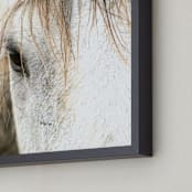 "Wild Horse Eye" - Art Print in Cafe Cream by Michelle Detering - Frame Close-up