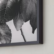 "Gather & Gaze" - Art Print in Matte Black by Alicia Youngken - Frame Close-up