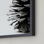 "Pine Cone" - Art Print in grey by Alexis Arnold - Frame Close-up