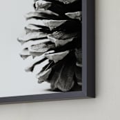 "Pine Cone" - Art Print in grey by Alexis Arnold - Frame Close-up