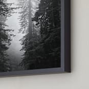 "Redwood Morning" - Art Print in Black & Whtie by Kamala Nahas - Frame Close-up
