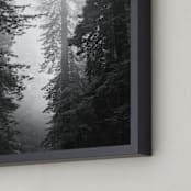 "Redwood Morning" - Art Print in Black & Whtie by Kamala Nahas - Frame Close-up