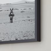 "I'm watching you" - Art Print in Black and White by Claudia Orengo - Frame Close-up