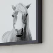 "Presence" - Art Print in Black and White by Debra Butler - Frame Close-up